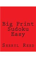 Big Print Sudoku Easy