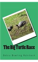 Big Turtle Race
