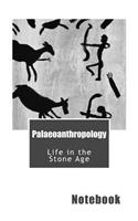 Palaeoanthropology