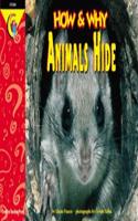 How and Why Animals Hide