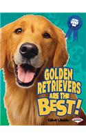 Golden Retrievers Are the Best!: (Best Dogs Ever)