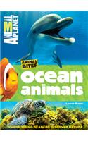 Ocean Animals (Animal Planet Animal Bites)