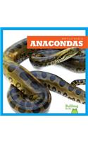 Anacondas