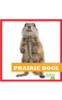 Prairie Dogs