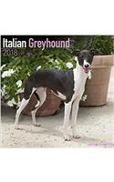 Italian Greyhound Calendar 2018