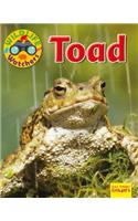 Toad