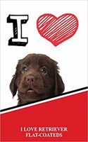 I Love Retriever Flat-Coateds: Jiu-Jitsu Training Diary Training Journal Log Feature 120 Pages 6x9