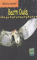 Barn Owls: Big Book (Read & Learn: What Awake? S.)