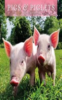 PIGS PIGLETS 2023 SQUARE WALL CALENDAR