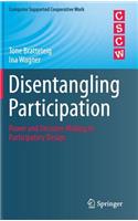 Disentangling Participation