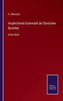 Vergleichende Grammatik der Slavischen Sprachen: Dritter Band