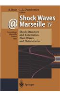 Shock Waves at Marseille