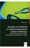 Role of CVAK104 in Clathrin-Dependent Cellular Pathways
