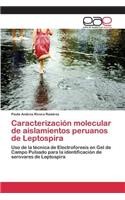 Caracterización molecular de aislamientos peruanos de Leptospira