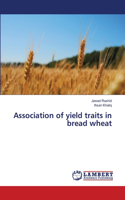 Association of yield traits in bread wheat