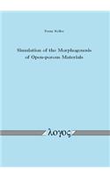 Simulation of the Morphogenesis of Open--Porous Materials