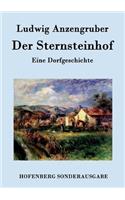 Der Sternsteinhof: Eine Dorfgeschichte(German)