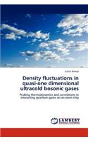 Density Fluctuations in Quasi-One Dimensional Ultracold Bosonic Gases