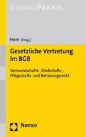 Gesetzliche Vertretung Im Bgb