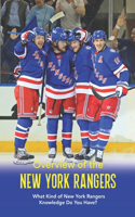 Overview of the New York Rangers
