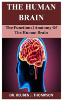 The Human Brain