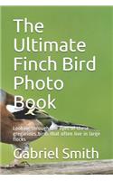 The Ultimate Finch Bird Photo Book: Looking through the eyes of these gregarious birds that often live in large flocks