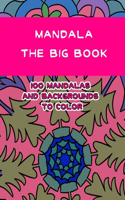 Mandala the big book: 100 mandalas and backgrounds to color