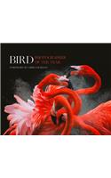 Bird Photographer of the Year: Collection 3