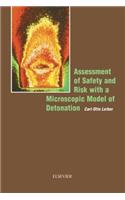 Assessment of Safety and Risk with a Microscopic Model of Detonation