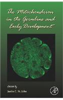The Mitochondrion in the Germline and Early Development