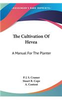Cultivation Of Hevea