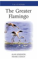 The Greater Flamingo