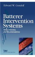 Batterer Intervention Systems