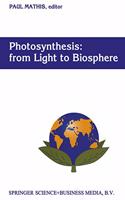 Photosynthesis: From Light to Biosphere