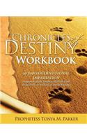 Chronicles of Destiny Workbook