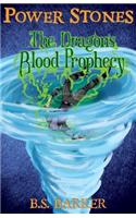 Power Stones: The Dragon's Blood Prophecy