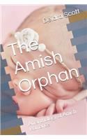 The Amish Orphan