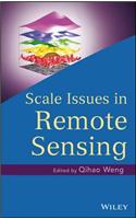 Scale Issues in Remote Sensing