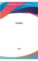 Laches: (English)