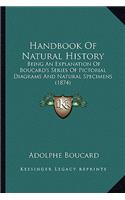 Handbook Of Natural History