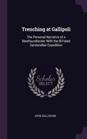 Trenching at Gallipoli: The Personal Narrative of a Newfoundlander With the Ill-Fated Dardanelles Expedition