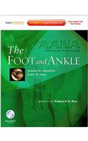 The Foot and Ankle