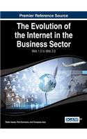 Evolution of the Internet in the Business Sector