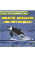 Killer Whales Are Not Whales!