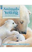 Animals and Their Young