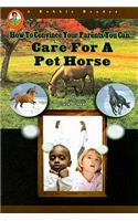 Care for a Pet Horse