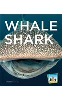 Whale Shark