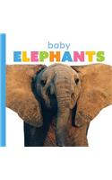 Baby Elephants