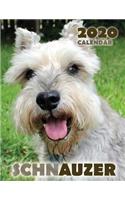 Schnauzer 2020 Calendar