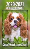 2020-2021 Agenda Settimanale Cavalier King Charles Spaniel